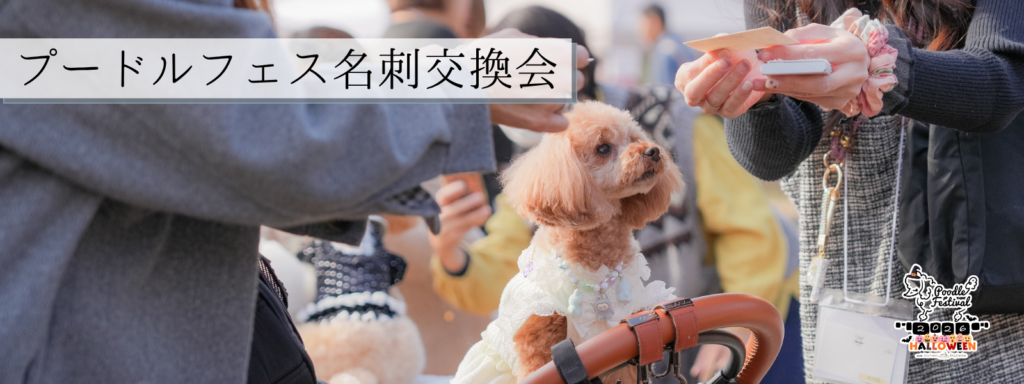 プードルフェス名刺交換会