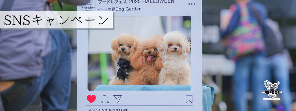 SNSキャンペーン