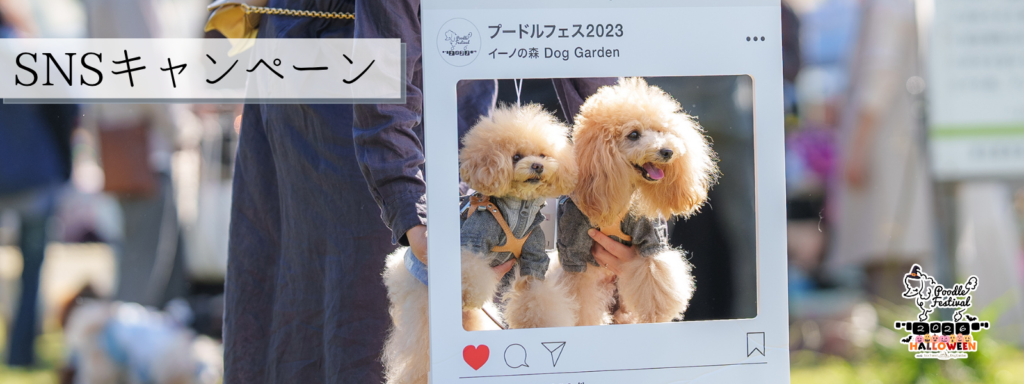 SNSキャンペーン
