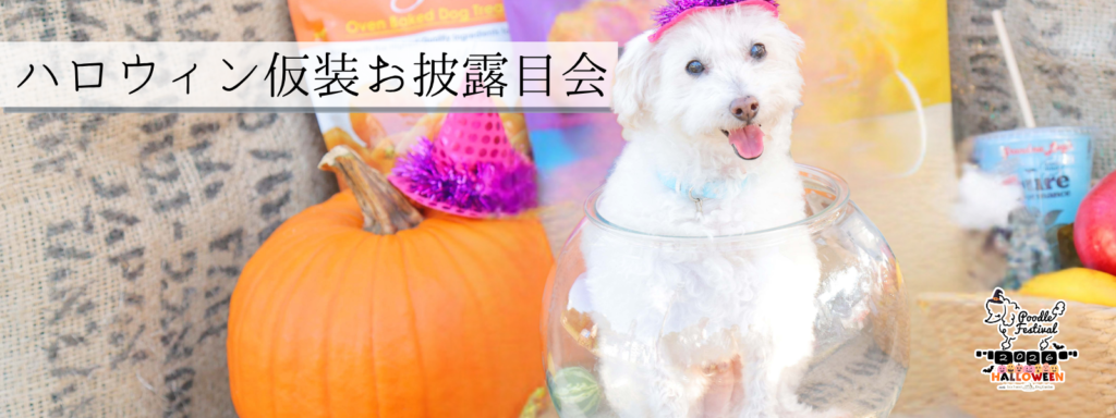 ハロウィン仮装お披露目会