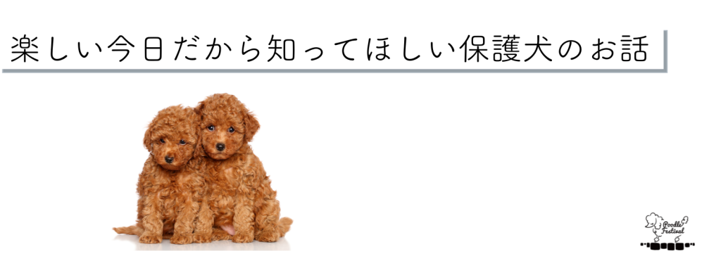 楽しい今日だから知ってほしい保護犬のお話