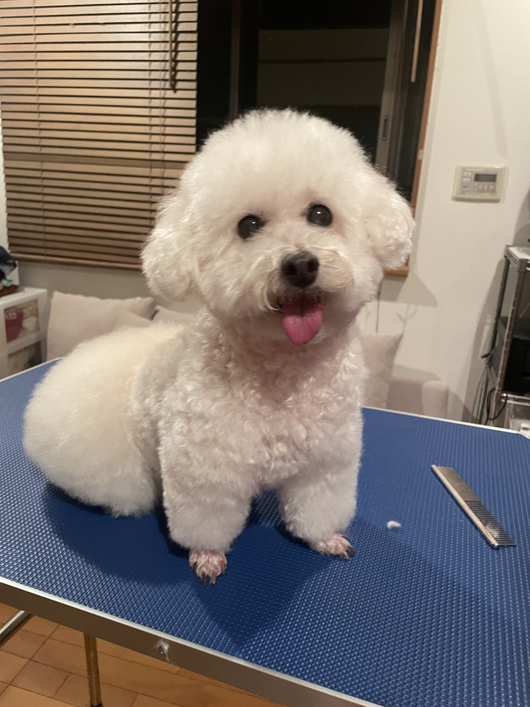 ファーファちゃん