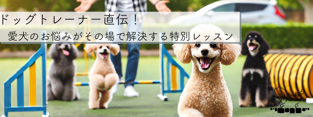 ドッグトレーナー直伝！愛犬のお悩みがその場で解決する特別レッスン