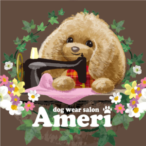 ameri