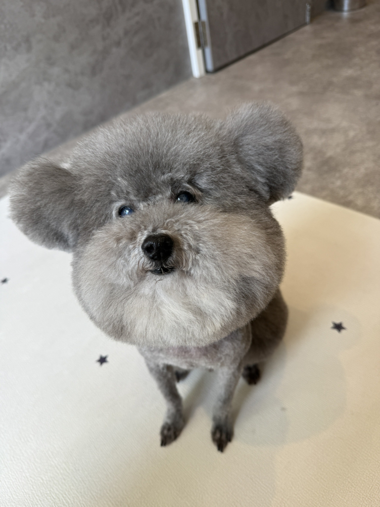 じゃむくん