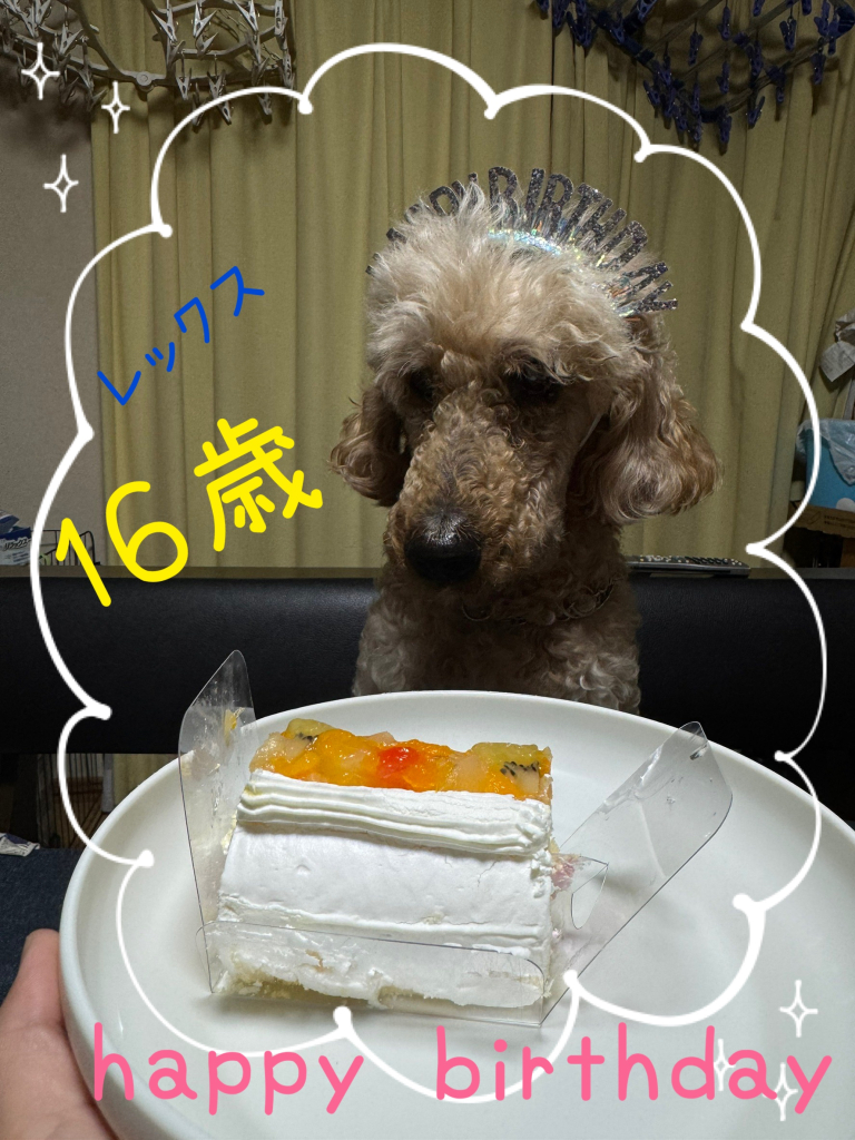 レックスくん