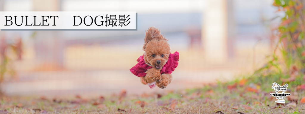 BULLET DOG撮影会@大阪北港マリーナ