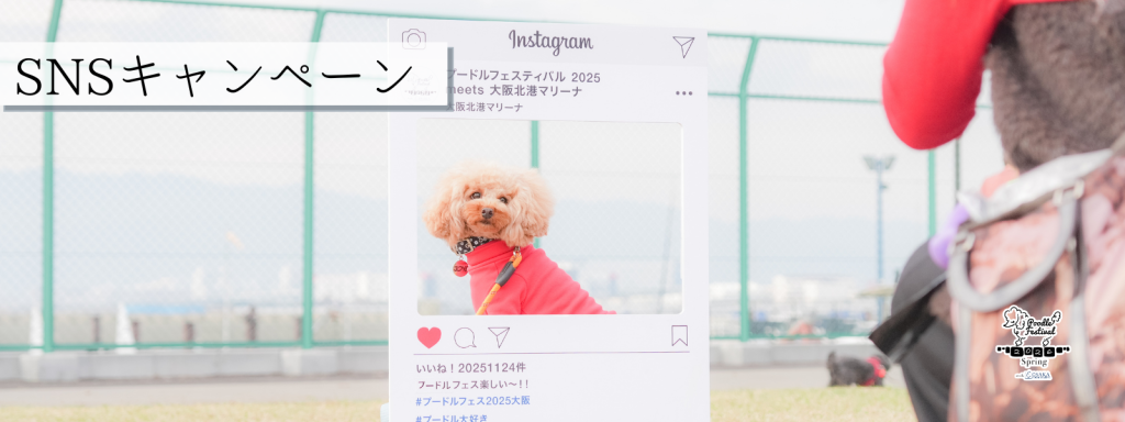 SNSキャンペーン@大阪北港マリーナ