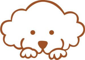 moecom dogwear