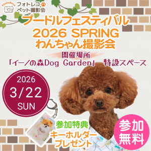 フォトレコペット撮影会