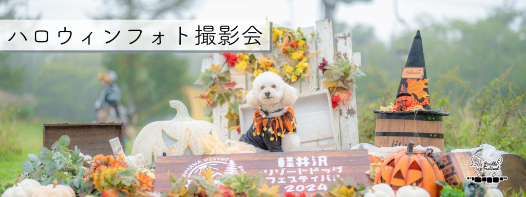 ハロウィンフォト撮影会