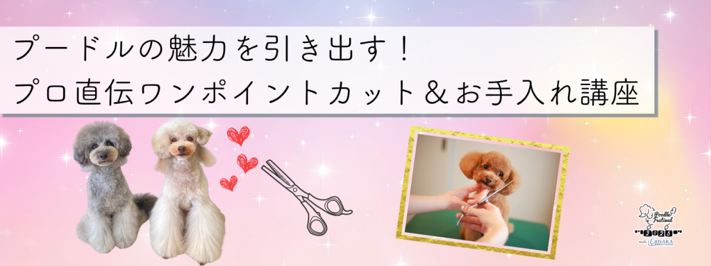 プードルの魅力を引き出す！プロ直伝ワンポイントカット＆お手入れ講座