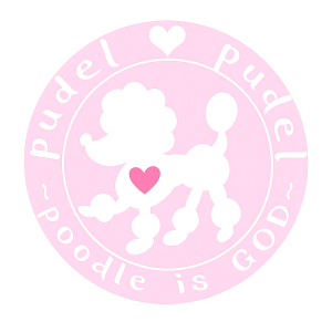 pudel♡pudel