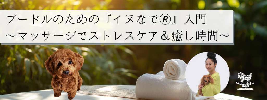 プードルのための『イヌなで🄬』入門 〜マッサージでストレスケア&癒し時間〜