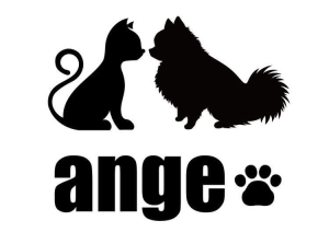 ange