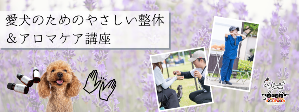 愛犬のためのやさしい整体&アロマケア講座